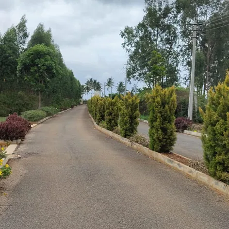 A curving layout road edged with shrubs and yellow flowers at Sylvia City