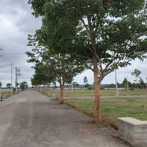 A wide layout road with street lights and avenue trees at Sylvia City